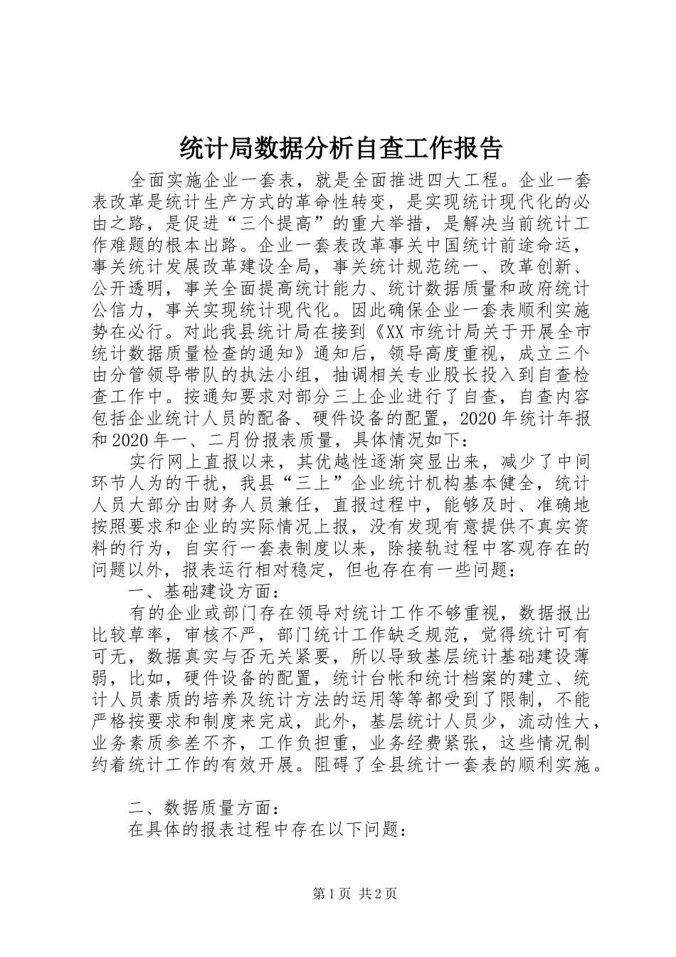 统计局数据分析自查工作报告_第1页
