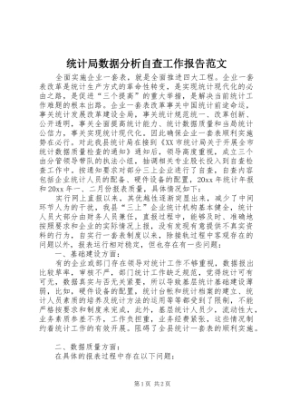 统计局数据分析自查工作报告范文