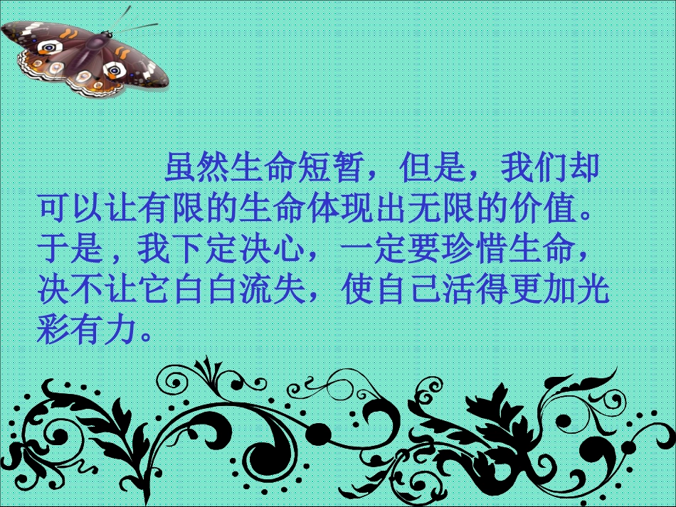 《生命生命》1课件(1)_第2页