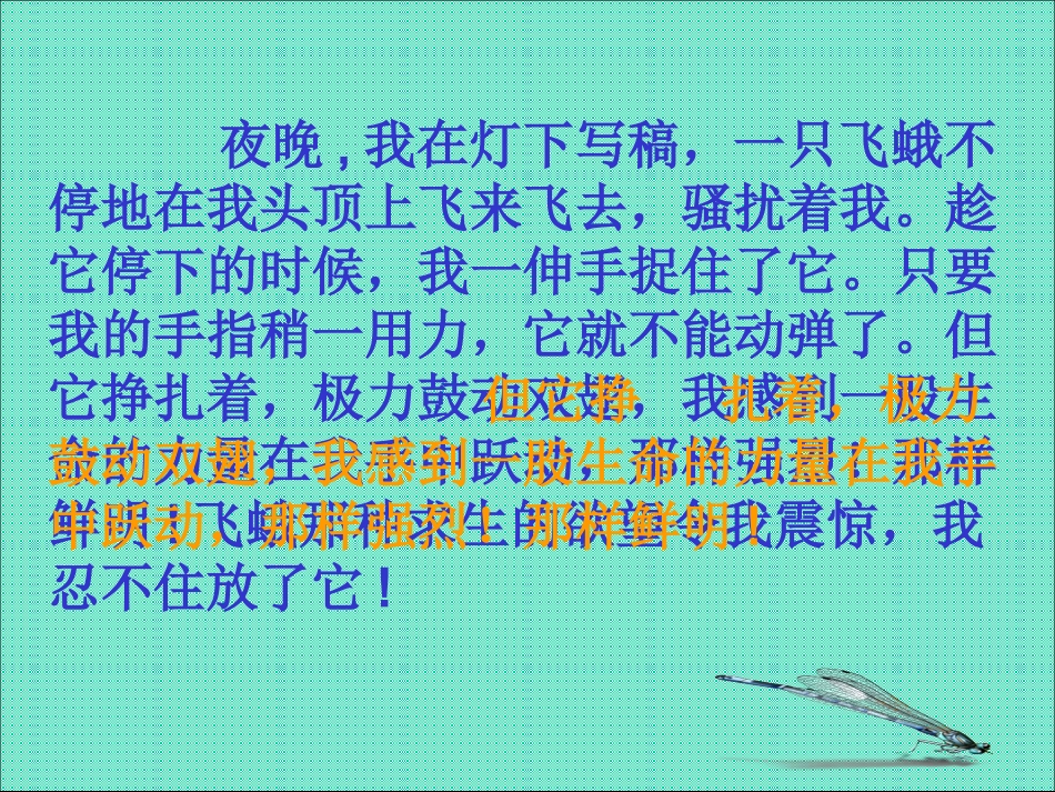 《生命生命》1课件(1)_第3页