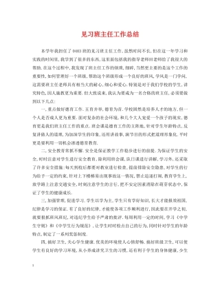 见习班主任工作总结 