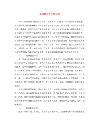 见习班主任工作计划 