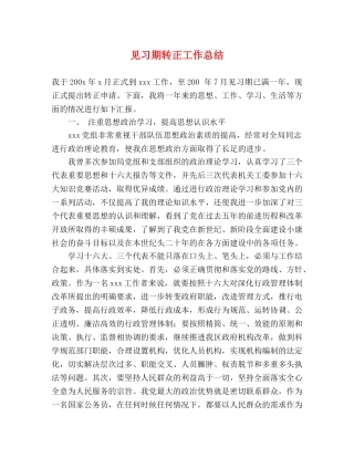 见习期转正工作总结 