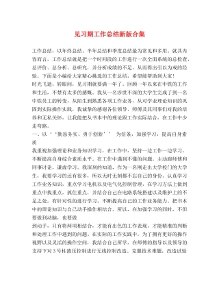 见习期工作总结新版合集 
