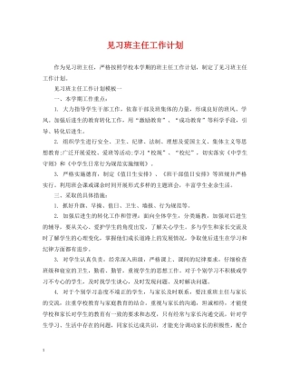 见习班主任工作计划2 