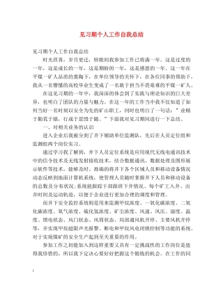 见习期个人工作自我总结 