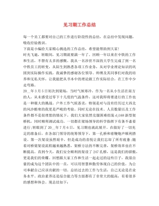 见习期工作总结 