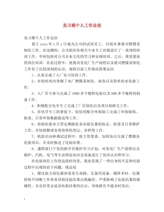 见习期个人工作总结 