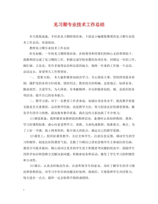 见习期专业技术工作总结 