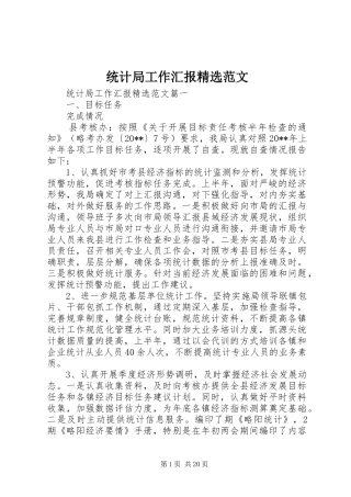 统计局工作汇报精选范文