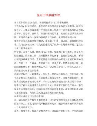 见习工作总结2020 