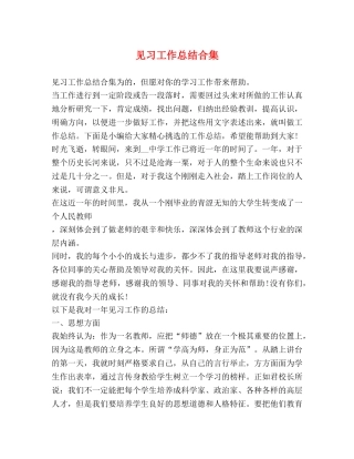 见习工作总结合集 