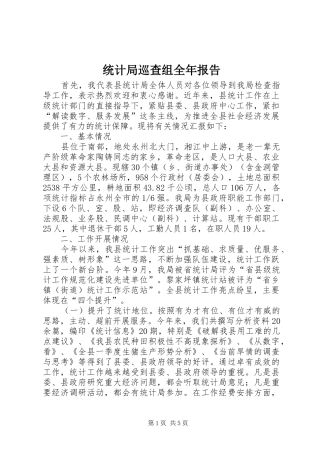 统计局巡查组全年报告