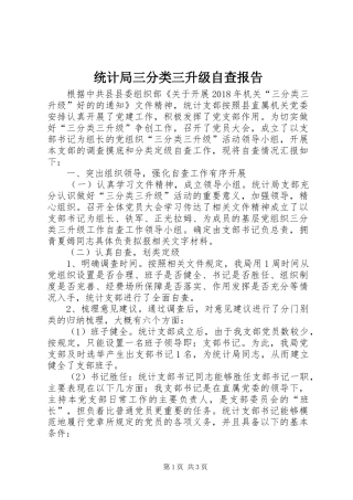 统计局三分类三升级自查报告
