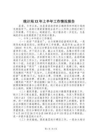 统计局XX年上半年工作情况报告