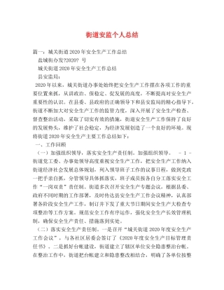 街道安监个人总结2 