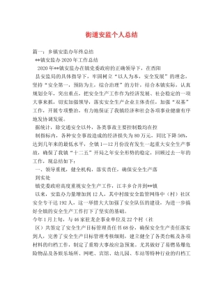 街道安监个人总结 