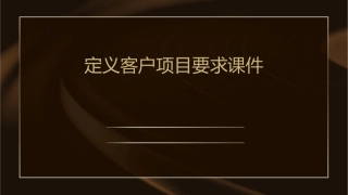定义客户项目要求课件