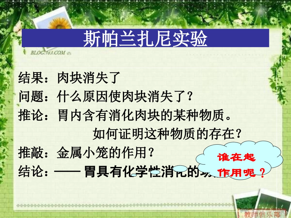 降低化学反应活化能的酶[1]_第3页