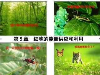 降低化学反应活化能的酶[1]