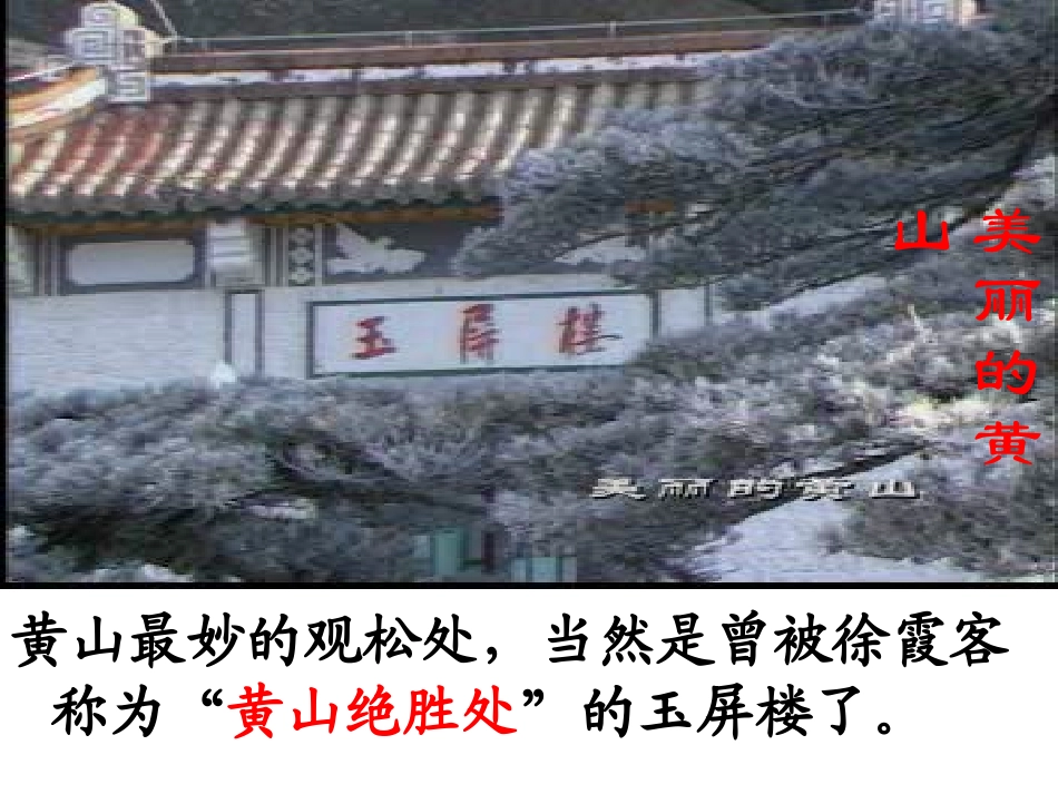 黄山奇松(新的)_第2页