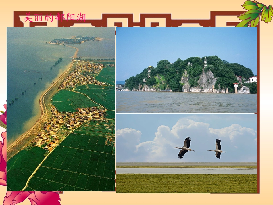 【精品课件二】61数据的收集_第2页