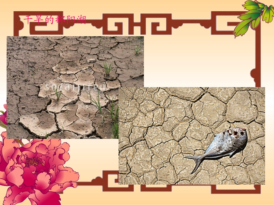 【精品课件二】61数据的收集_第3页