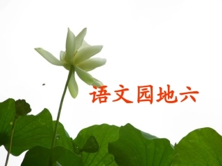 人教三年级上册语文园地六