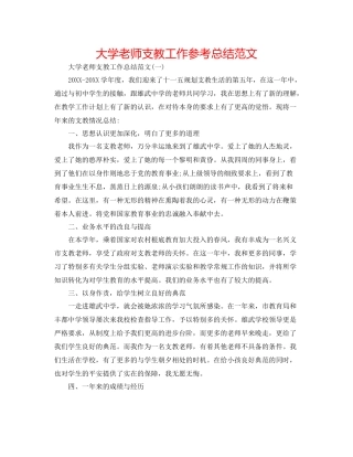 大学教师支教工作参考总结范文