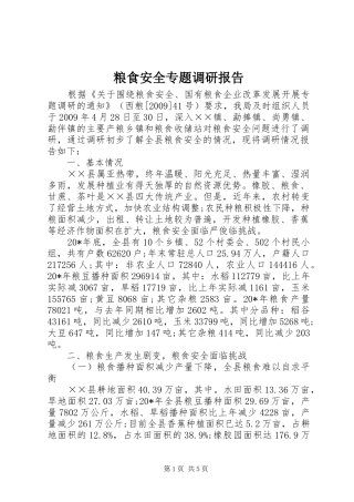 粮食安全专题调研报告
