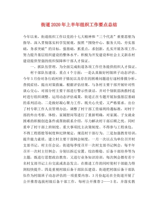 街道2020年上半年组织工作要点总结 