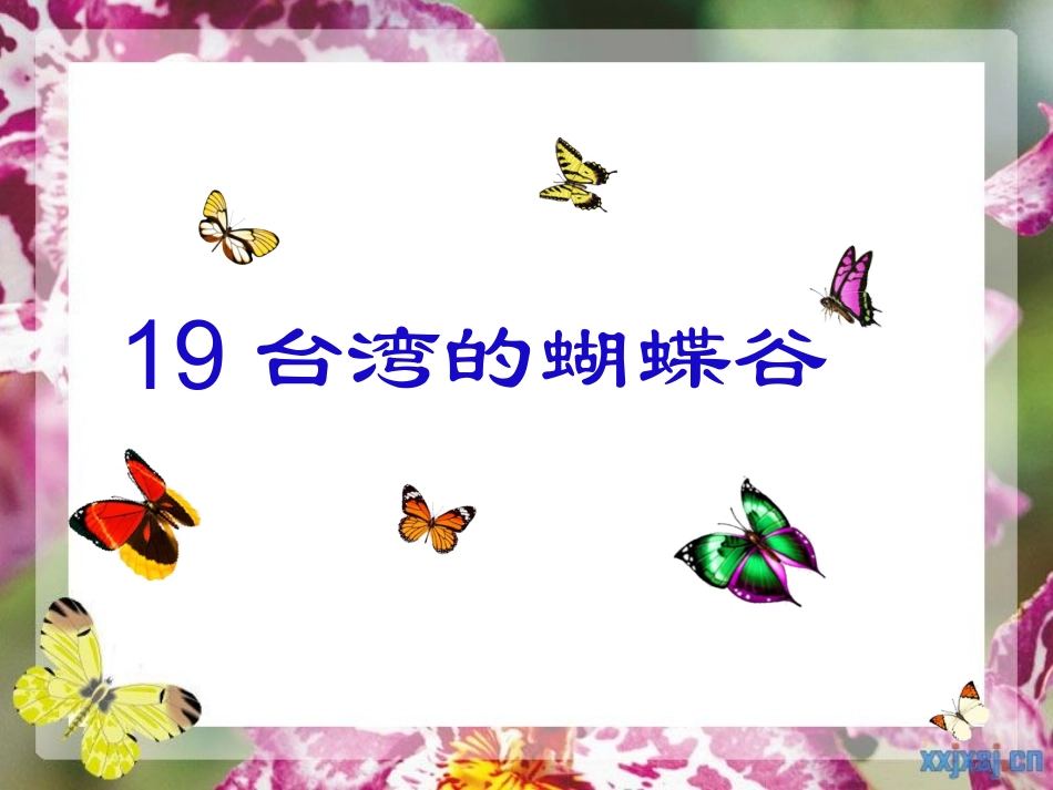 台湾的蝴蝶谷(2)_第1页