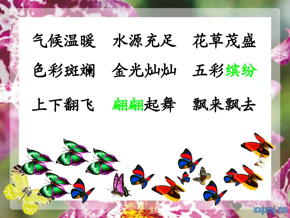 台湾的蝴蝶谷(2)_第2页