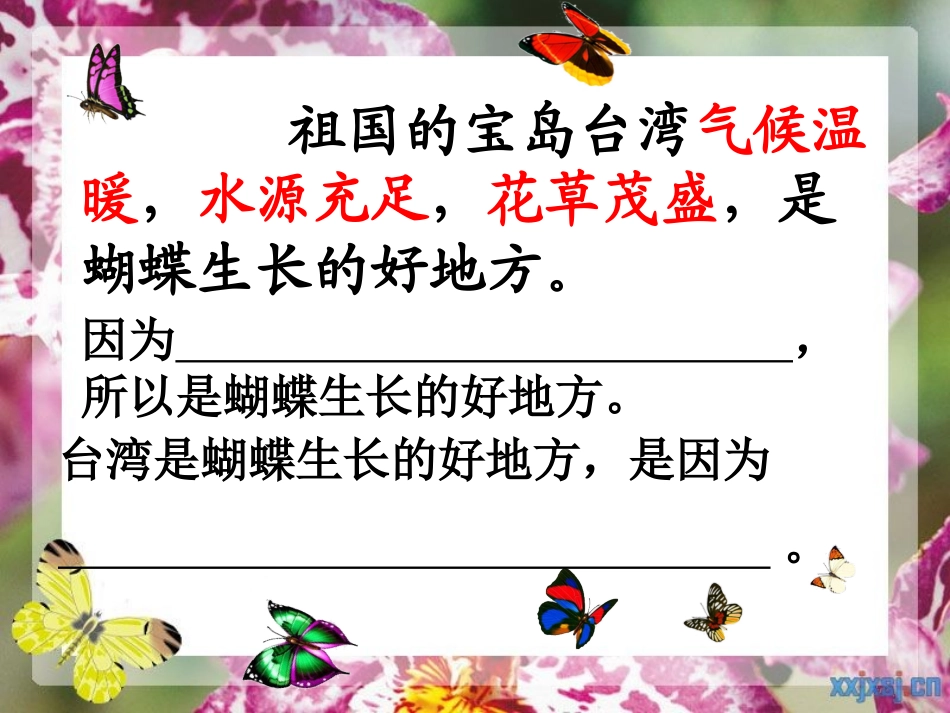 台湾的蝴蝶谷(2)_第3页
