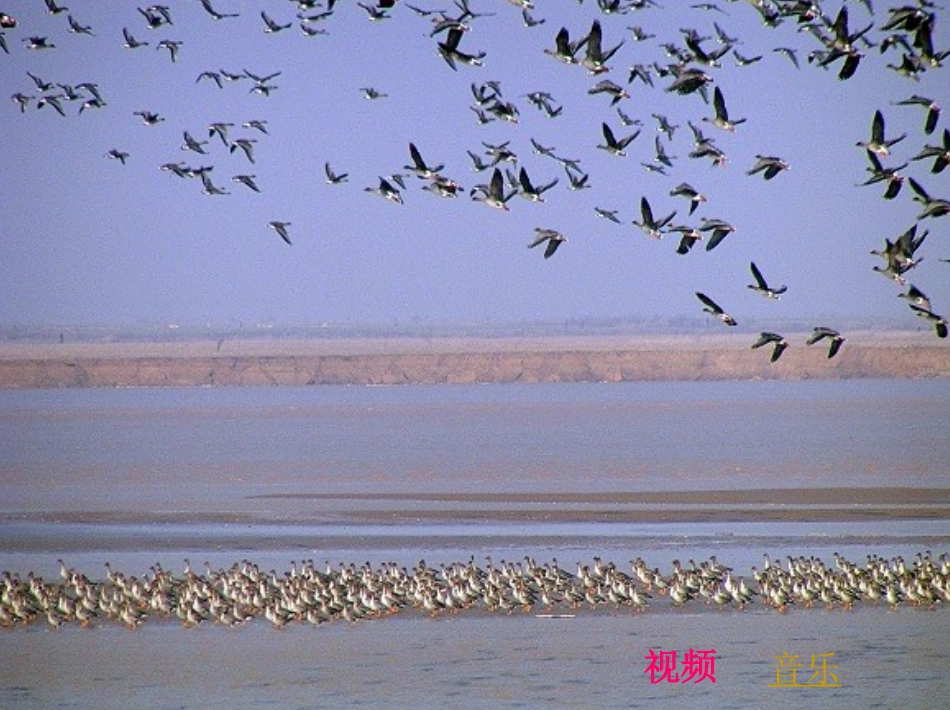 教师多媒体演示文稿_教师多媒体演示文稿_第1页