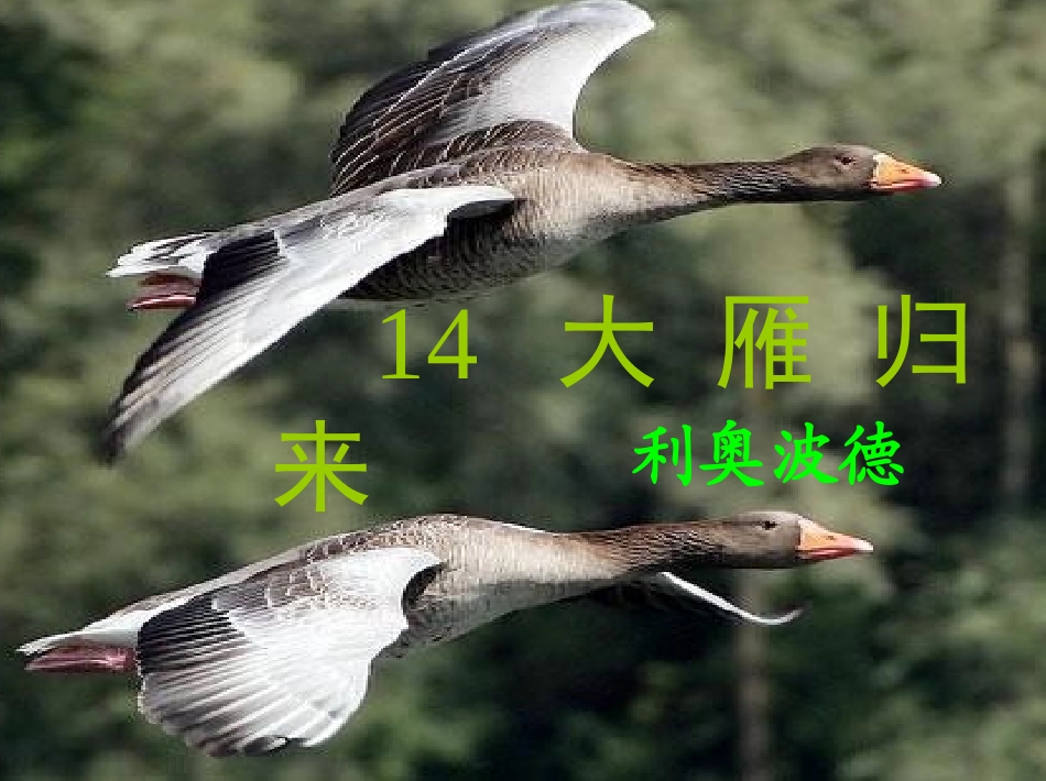 教师多媒体演示文稿_教师多媒体演示文稿_第2页