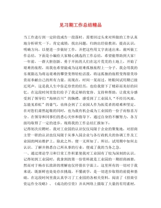 节日讲话-见习期工作总结精品 