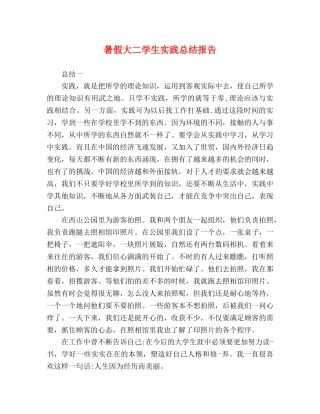 节日讲话-暑假大二学生实践总结报告 