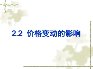 价格变动的影响
