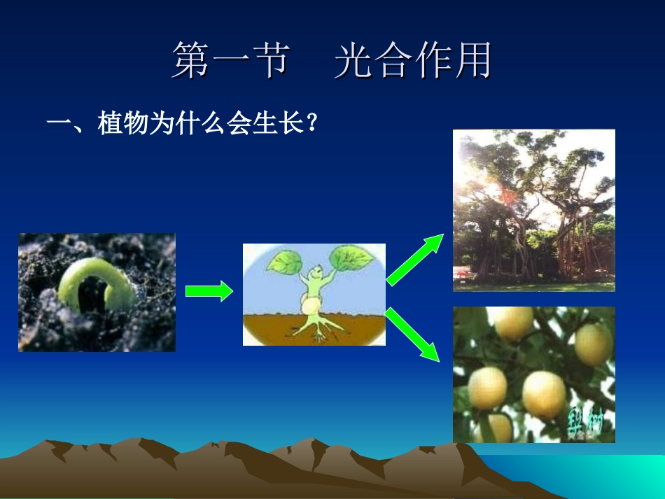 光合作用的发现_第2页