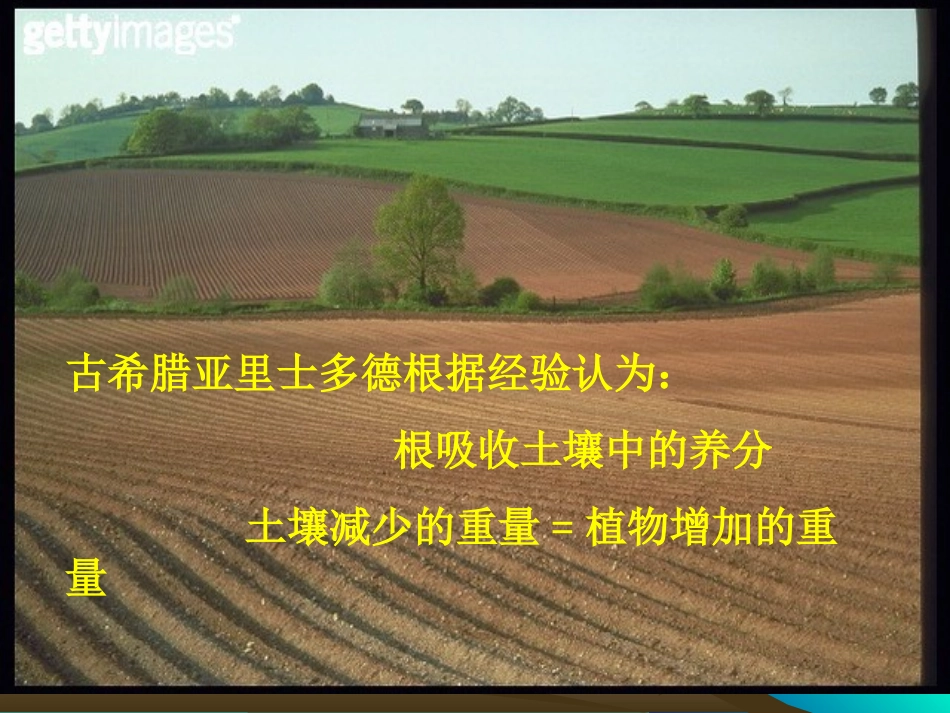 光合作用的发现_第3页