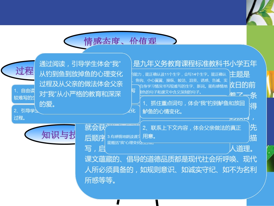 钓鱼的启示说课_第3页