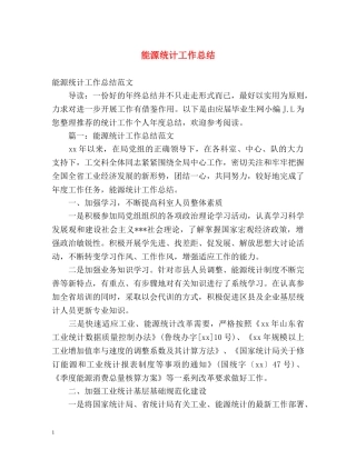 能源统计工作总结 