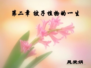 植株的生长和种子萌发