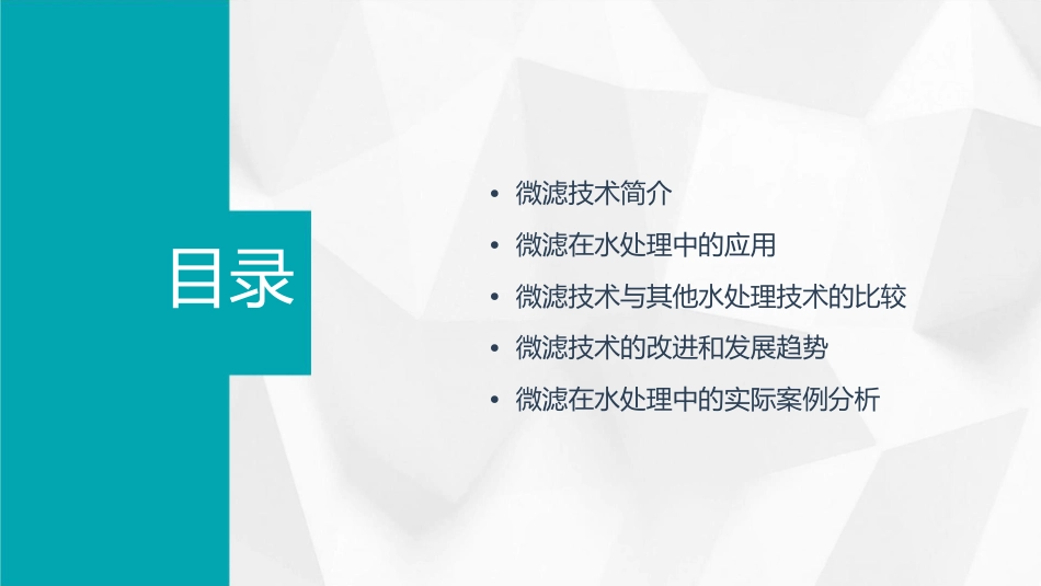 微滤在水处理的应用课件_第2页