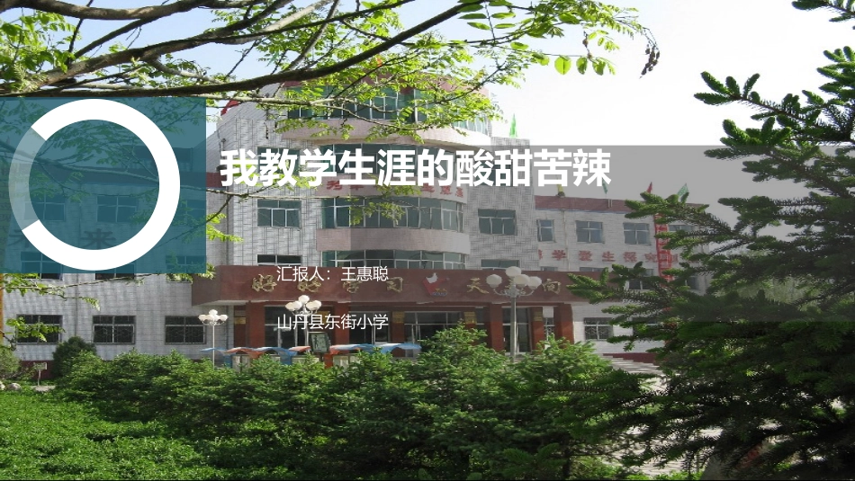 我教学生涯的酸甜苦辣_第1页