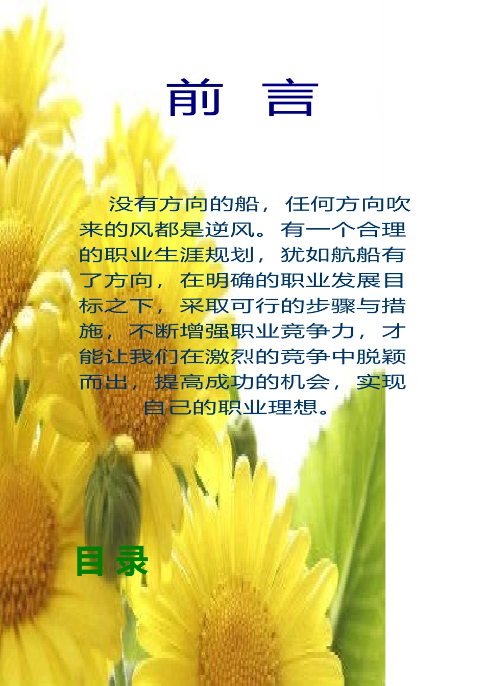 职业生涯设计书10网一田喜峰发_第2页