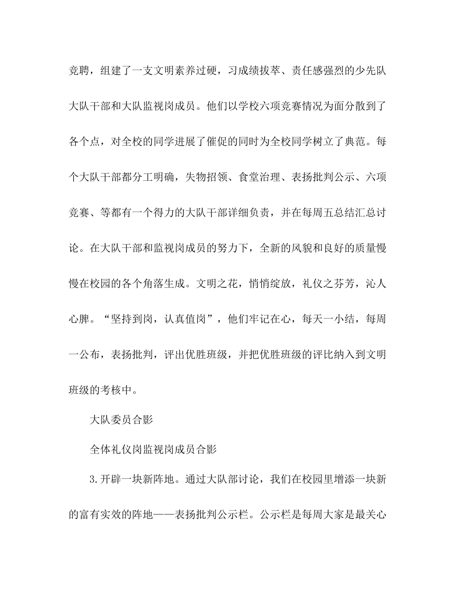 小学少先队工作参考总结2_第3页