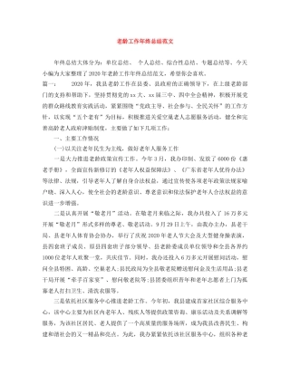 老龄工作年终总结范文 