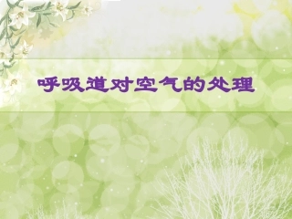 呼吸道对空气的处理